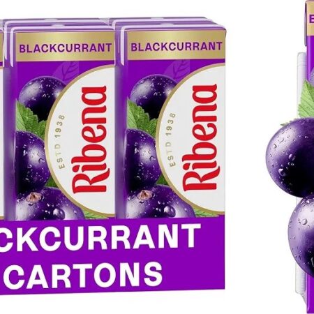 Ribena blackcurrant 6 x 250ml No Added Sugar Juice Drink Carton
